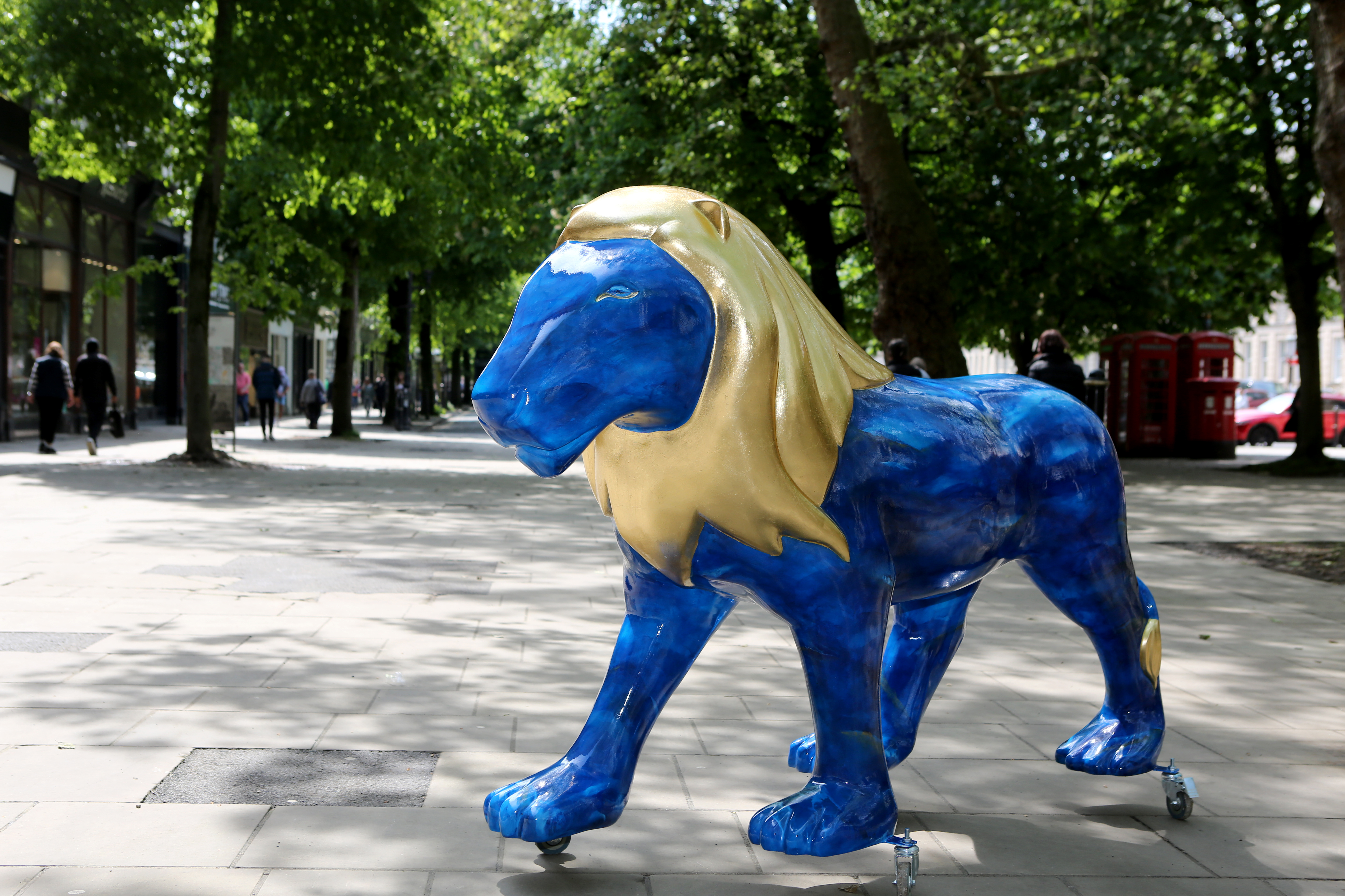 Lions at Large Cheltenham