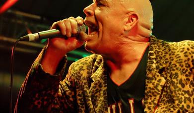 Bad Manners 50th Anniversary Xmas Party!