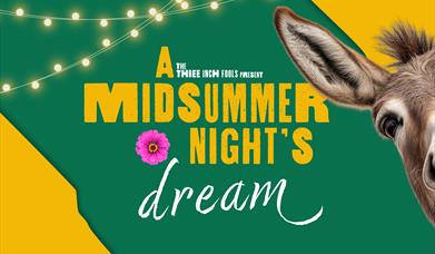 A Midsomer Night's Dream is written in yellow writing against a green background. Festoon lighting drapes across the left corner and a  donkey is peep