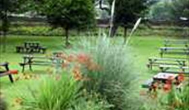 Bumble Bee garden