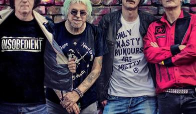 UK Subs