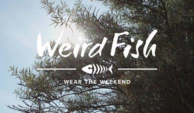 Weird Fish