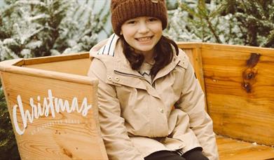 Gloucester Quays Christmas Trail