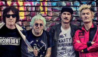 UK Subs