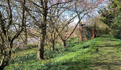 Minsterworth Meadows