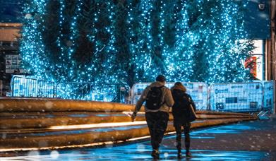 Tree of light (c) Dale Hodgetts