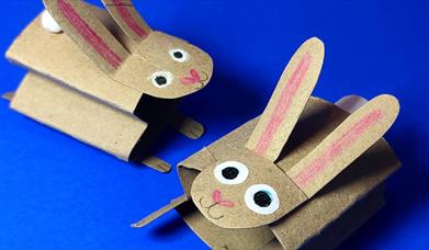 Bouncing Bunny Builders Workshop