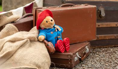 Paddington Bear