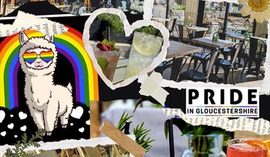 Pride Paint Pot Party