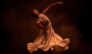 Venus 2.0 // Impermanence