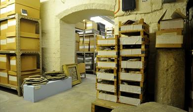 Behind the Scenes Tour