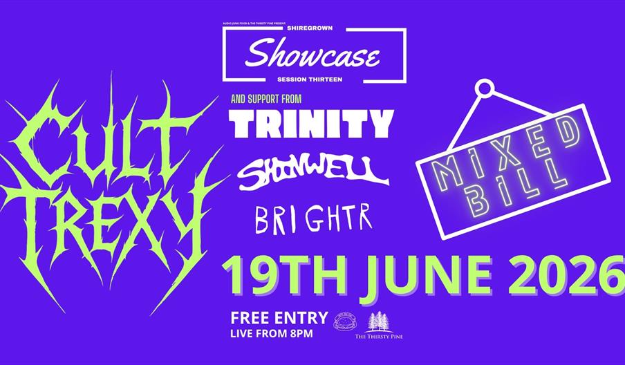 AUDIO JUNK FOOD PRESENTS: Showcase 13 (Cult Trexy // Trinity // Shinwell // Brightrr)