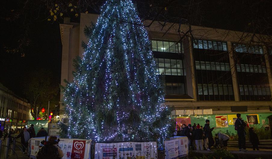 Tree of Light