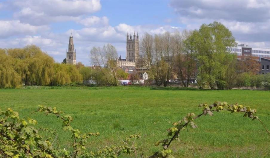 A grassy field bordered by willow trees with buildings including Gloucester Cathedral in the background