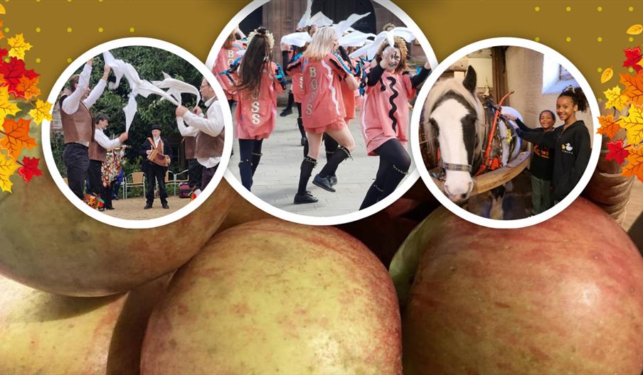 A composite image featuring Boss Morris dancing side, Lassington Oak morris dancing side, two children next to a horse, and some cider apples