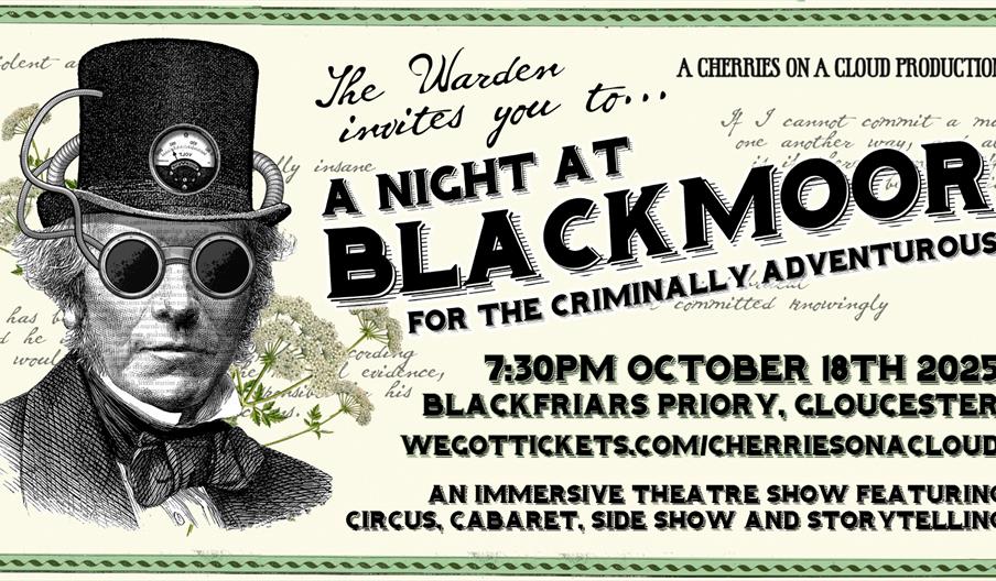 A Night at Blackmoor - for the Criminally Adventurous