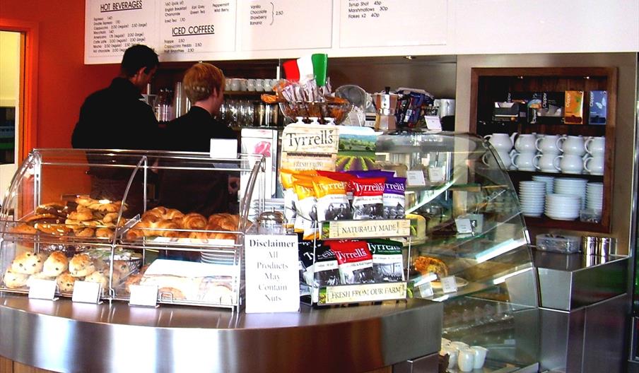 Cafe Tucci