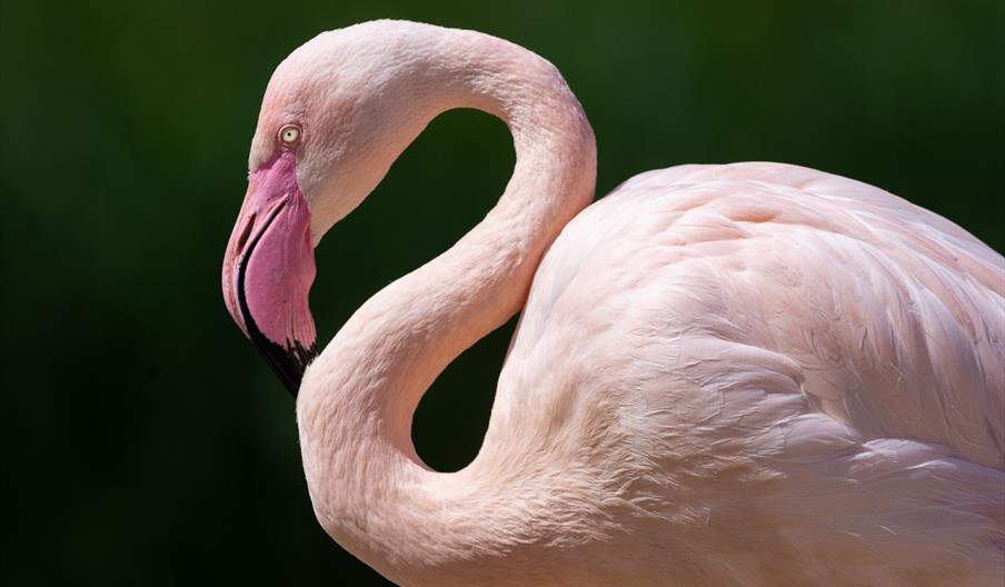 Slimbridge