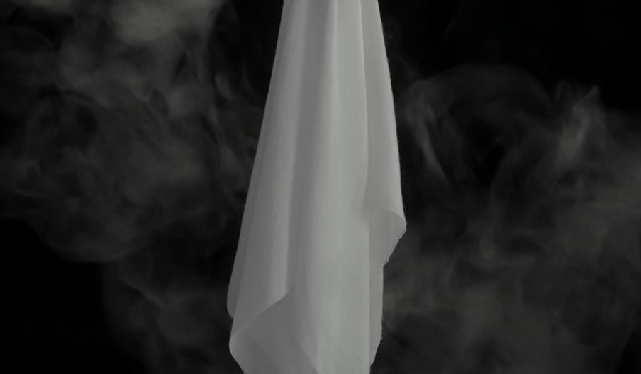 Ghosts & Giggles: Family Ghost Tour