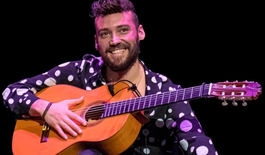 Daniel Martinez Flamenco