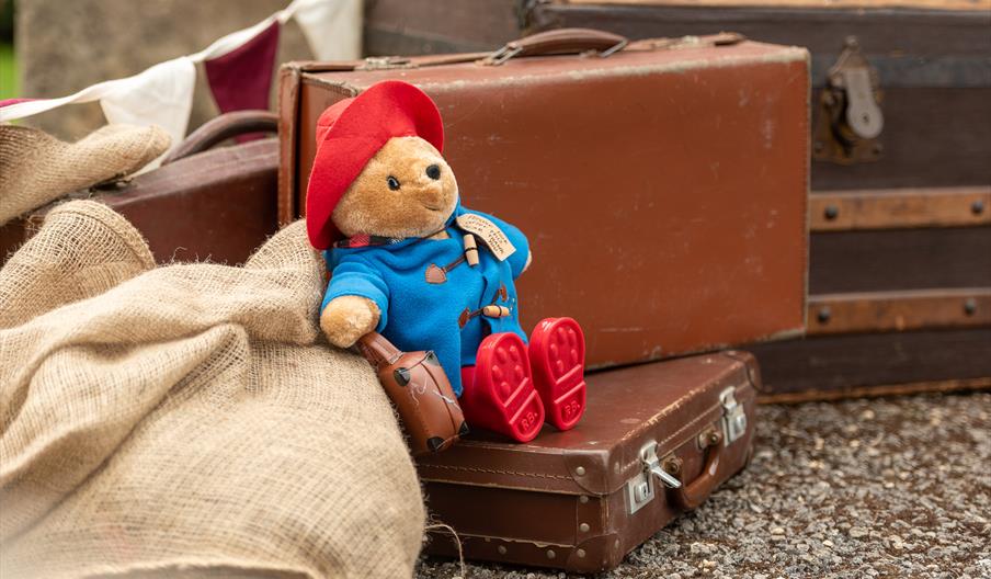Paddington Bear