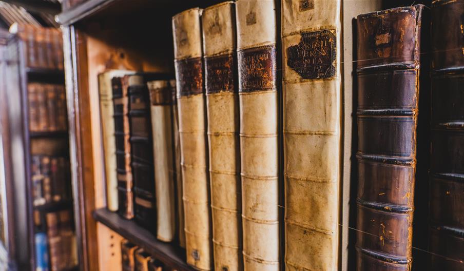 Stories of the Cathedral: February Half Term