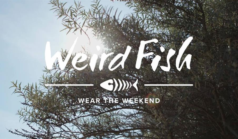 Weird Fish