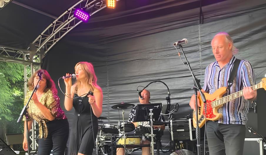 LIVE MUSIC: FUNKY MOJOS