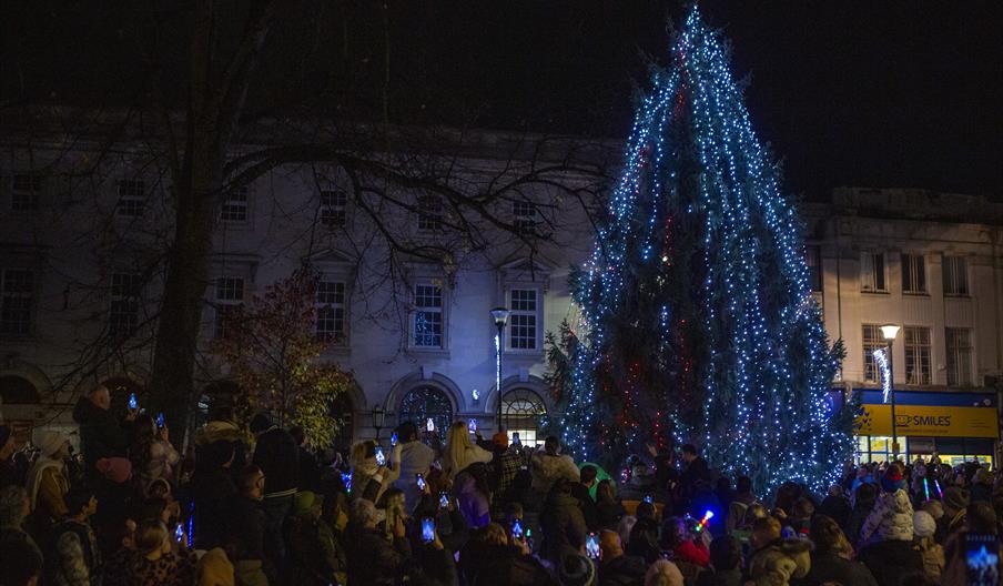 Gloucester Tree of Light Switch On
