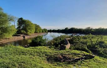 Alney Island Nature Reserve