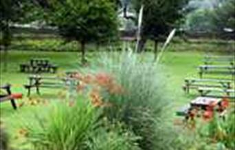 Bumble Bee garden