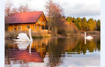 Log House Holidays