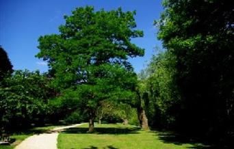 Barnwood Park