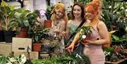 RHS Malvern Spring Festival