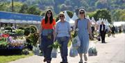 RHS Malvern Spring Festival