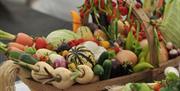 Malvern Autumn Show