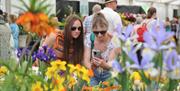 RHS Malvern Spring Festival