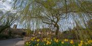 Spring in Blockley