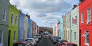 The Rainbow Street - Copyright Tash Frootko