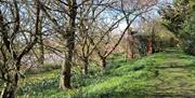 Minsterworth Meadows