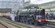 Steam Locomotive the Duke of Gloucester