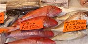 Eastgate Indoor Market
