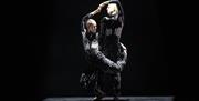 Two dancers in a spotlight on a dark stage, wearing black and white striped costumes with their bodies intertwined.