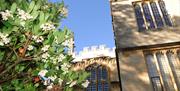 Oxford