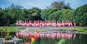 Slimbridge