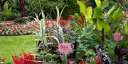Exotic planting in Old Walled Garden