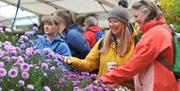 Malvern Autumn Show