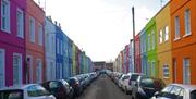 The Rainbow Street - Copyright Tash Frootko