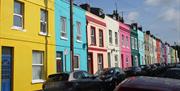 The Rainbow Street - Copyright Tash Frootko