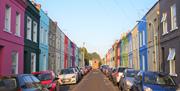The Rainbow Street - Copyright Tash Frootko